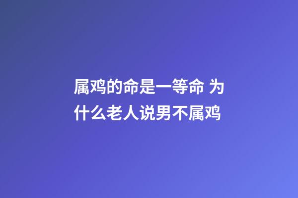 属鸡的命是一等命 为什么老人说男不属鸡